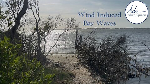 Ada Alien Queen • Earth Heart Beats • Take #00026 • Wind Induced Bay Waves