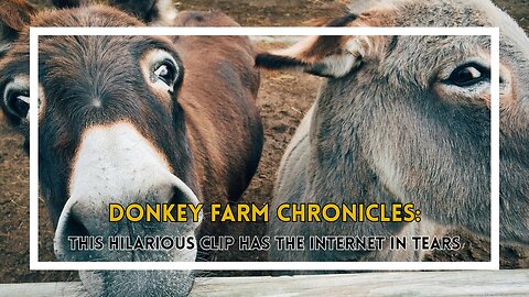 Donkey Farm Chronicles This Hilarious Clip Has the Internet in Tears