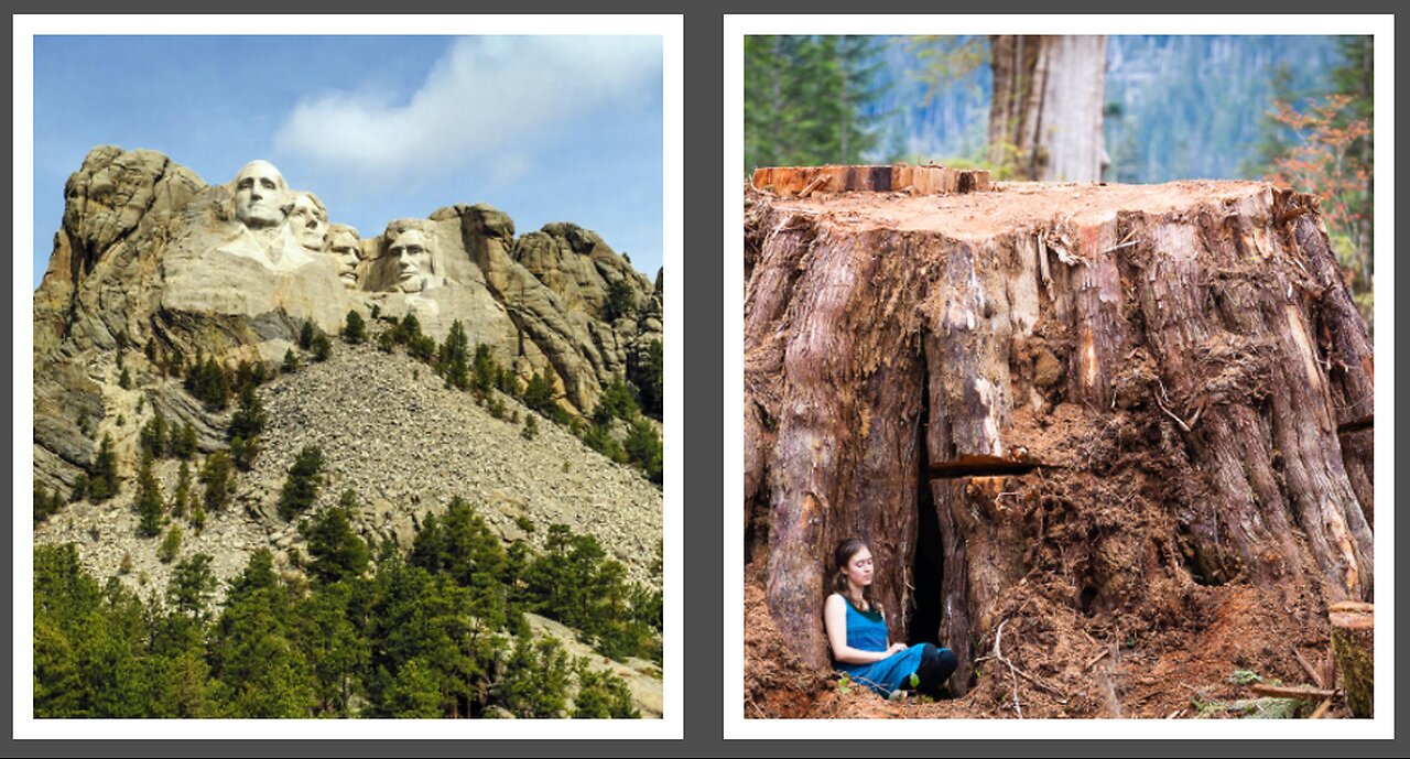 WAS MOUNT RUSHMORE ONCE A GIANT CEDAR TREE - OLD WORLD