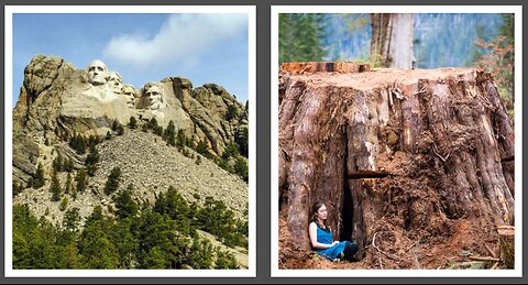 WAS MOUNT RUSHMORE ONCE A GIANT CEDAR TREE - OLD WORLD