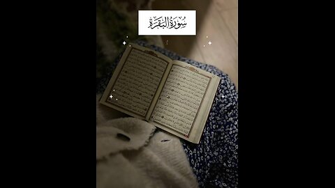 Follow if you love Allah / Surah Al Baqarah Ayat 91 #quran #tafseer #surahbaqarah❤️ #islam