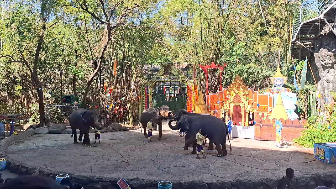 Elephant 🐘 Show at Safari World Bangkok