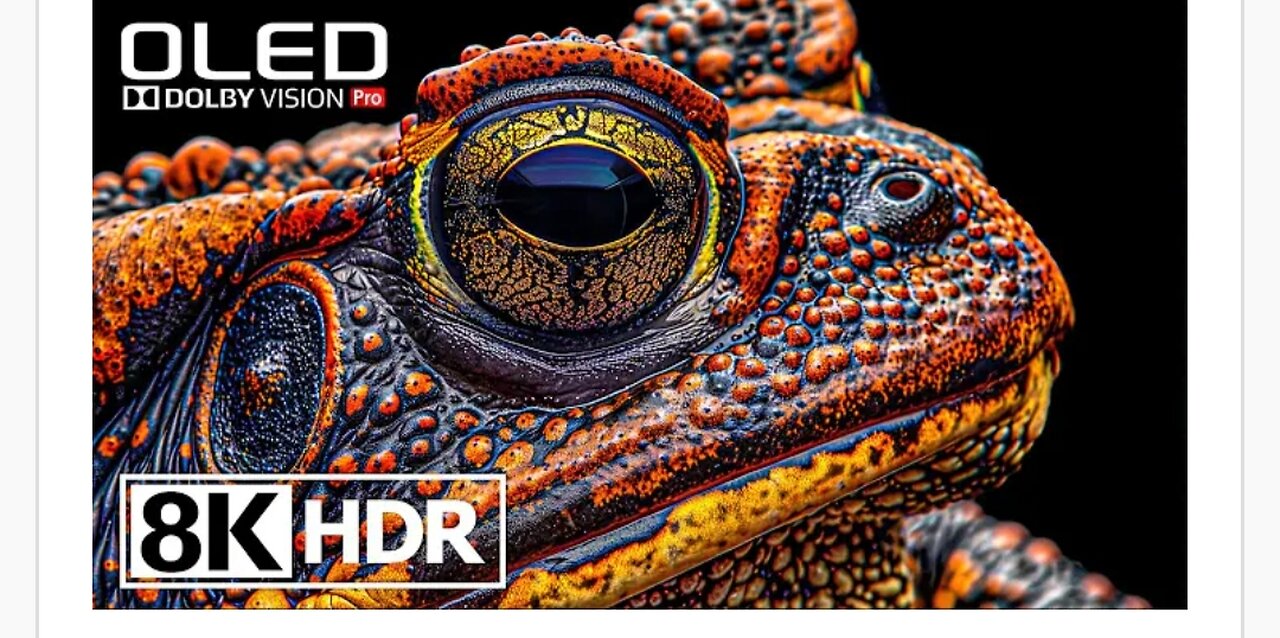 HDR FULL 4K VIDEO ANIMAL WILDLIFE