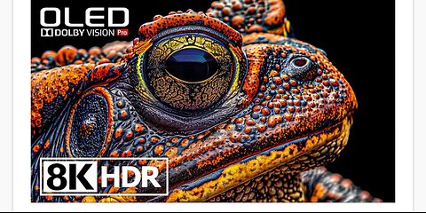HDR FULL 4K VIDEO ANIMAL WILDLIFE