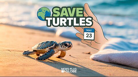 Why We Celebrate World Turtle Day 2025