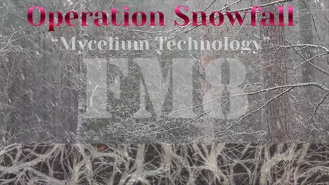 OPERATION SNOWFALL - FIREMEDIC8 RESEARCH AND MICROPHOTOGRAPHS