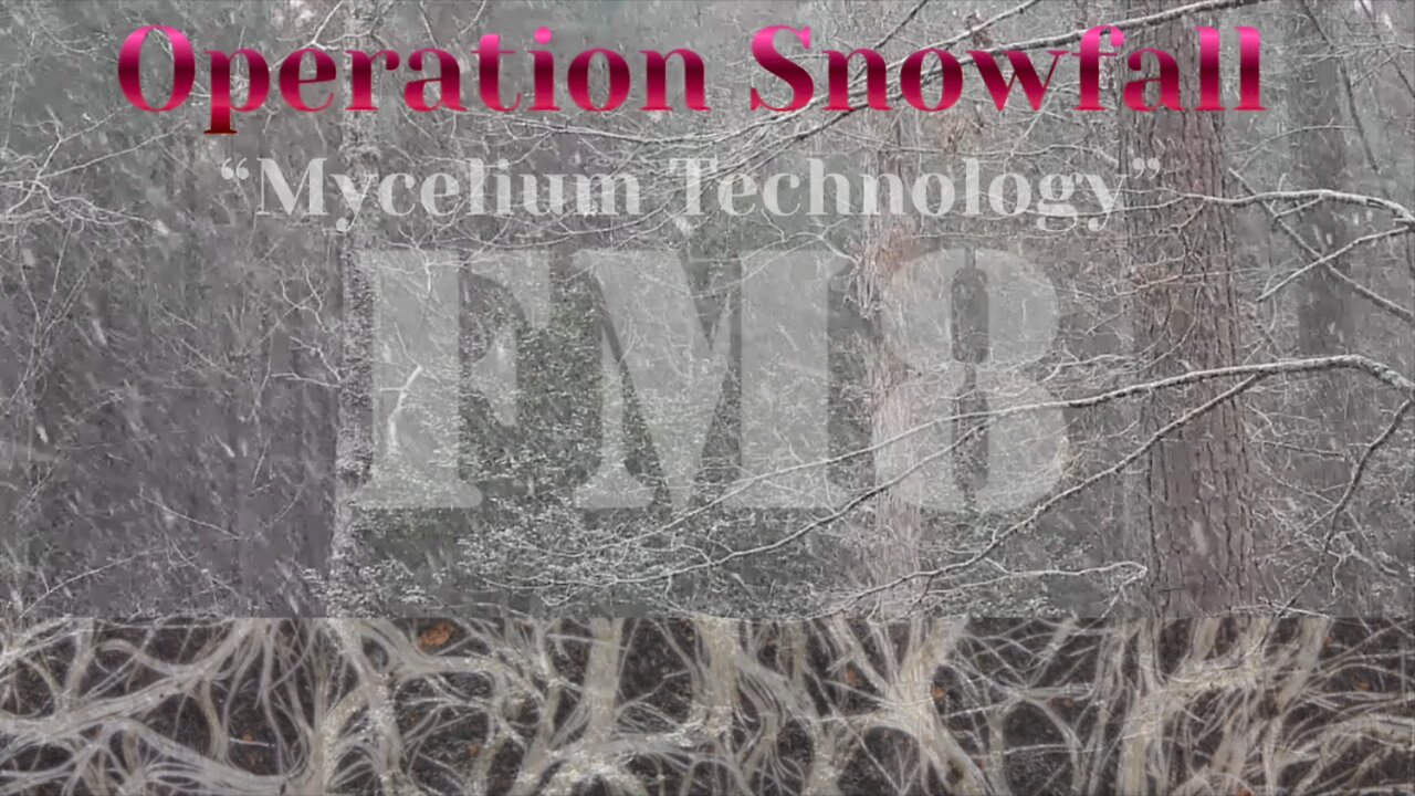 OPERATION SNOWFALL - FIREMEDIC8 RESEARCH AND MICROPHOTOGRAPHS