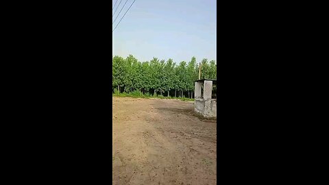 satisfying Video