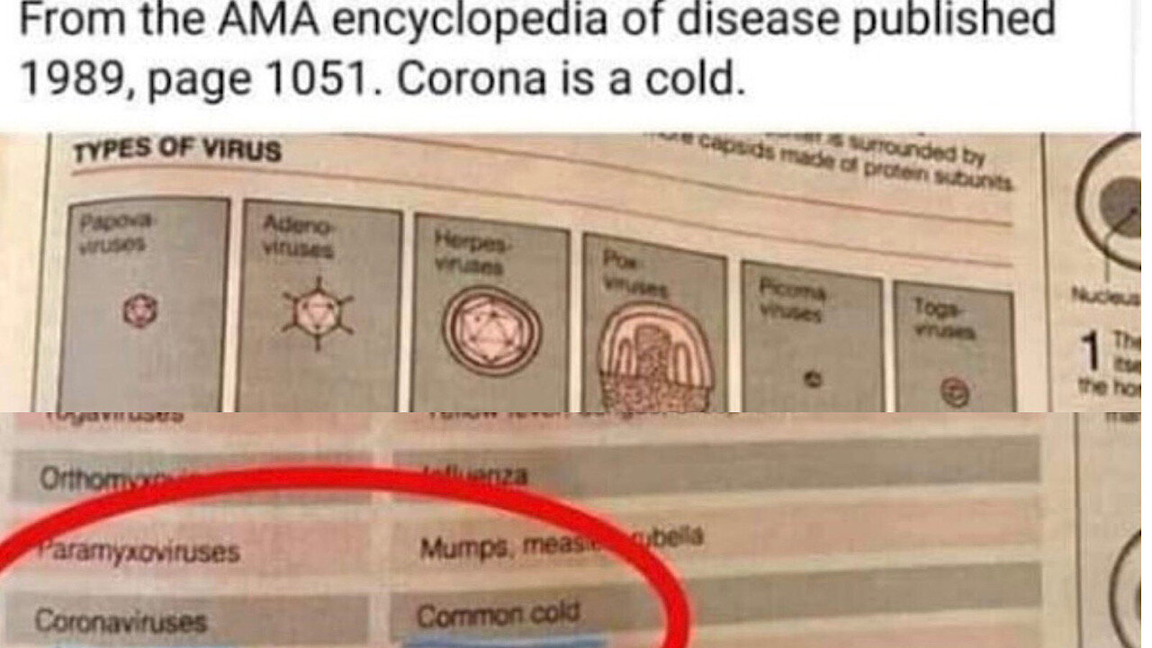 Pre-scamdemic medical textbook from 1989 shows that coronavirus is really just the common cold.
