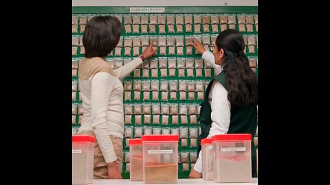 El tesoro de los Andes: la lucha detrás de la quinoa peruana