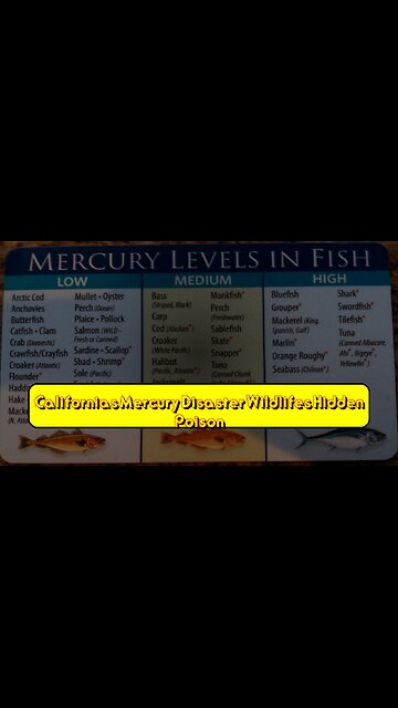 California's Mercury Disaster: Wildlife's Hidden Poison #MercuryPoisoning #CaliforniaHistory...