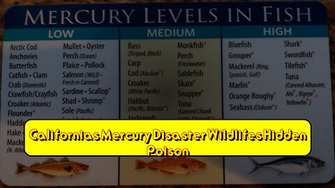 California's Mercury Disaster: Wildlife's Hidden Poison #MercuryPoisoning #CaliforniaHistory...