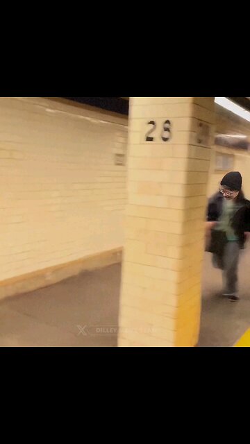 Trump Supporters Troll Libs on Subway