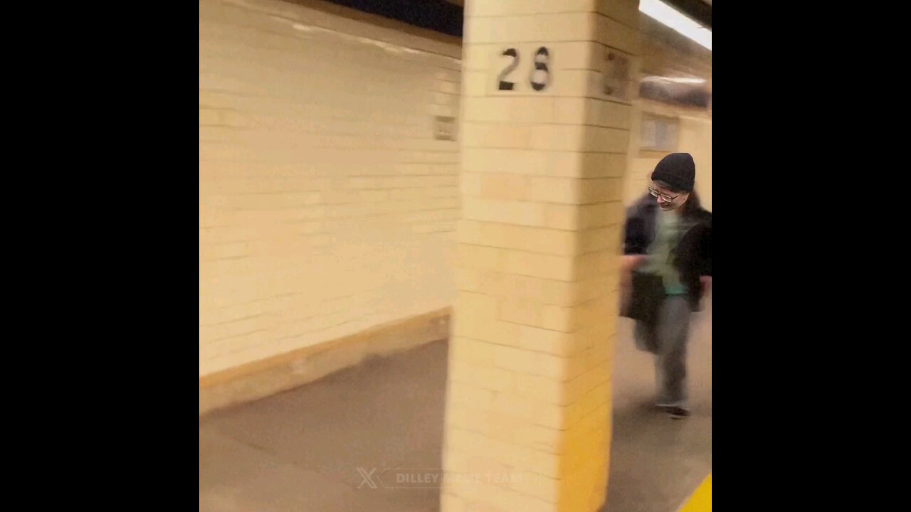 Trump Supporters Troll Libs on Subway