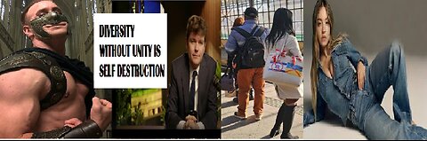 Diversity Equals Division