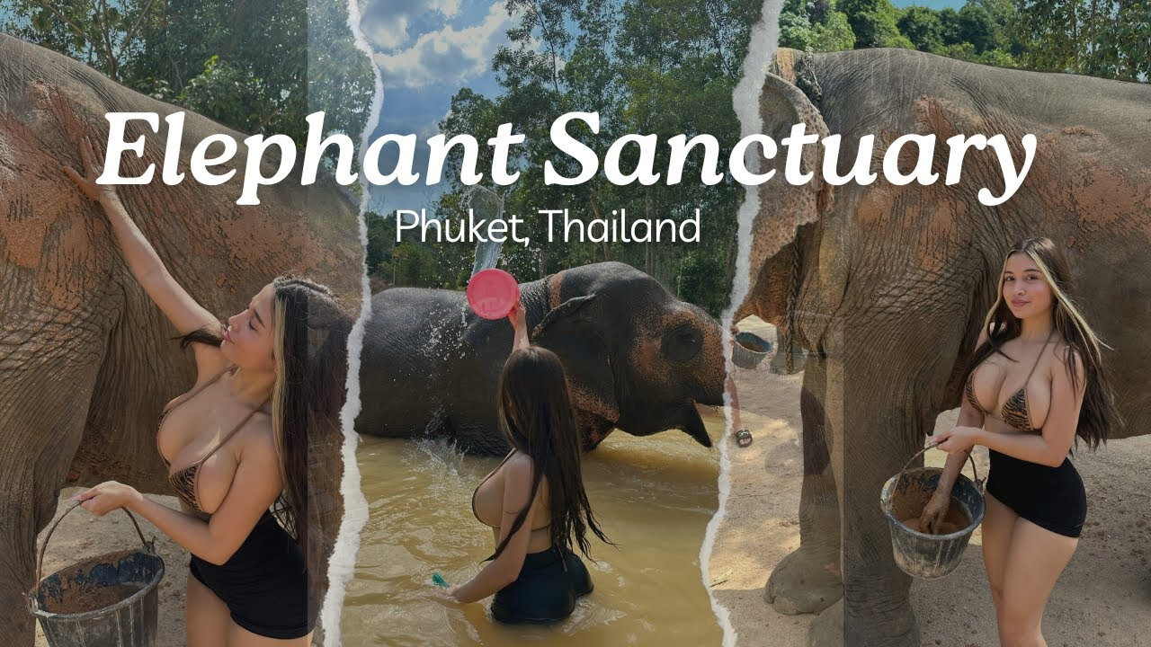 ELEPHANT SANCTUARY | PHUKET THAILAND