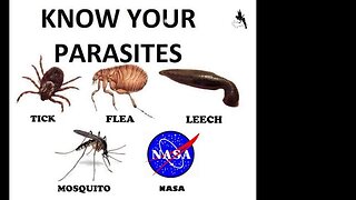 The International Bug Station.