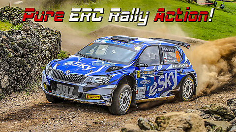 European Rally Championship INSANE Moments!