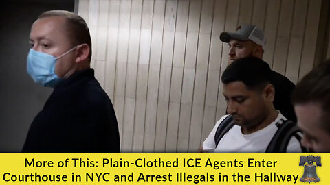 More of This: Plain-Clothed ICE Agents Enter Courthouse in NYC and Arrest Illegals in the Hallway
