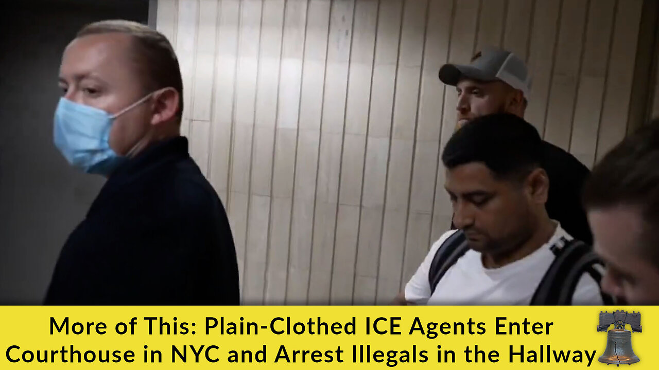 More of This: Plain-Clothed ICE Agents Enter Courthouse in NYC and Arrest Illegals in the Hallway