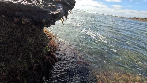 Hangout Low Tide Waves over a Point Reef La Jolla #ocean #pacific #zen #4k