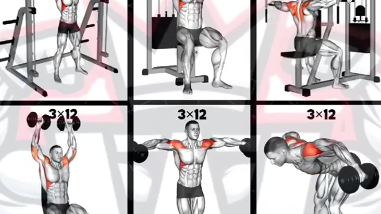 Build Strong & Wide Shoulders – Best Muscle-Building Moves! 💪🇺🇸