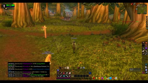 Turtle wow - Melee HC Slow and Steady Hunter - Part 16 - No commentary