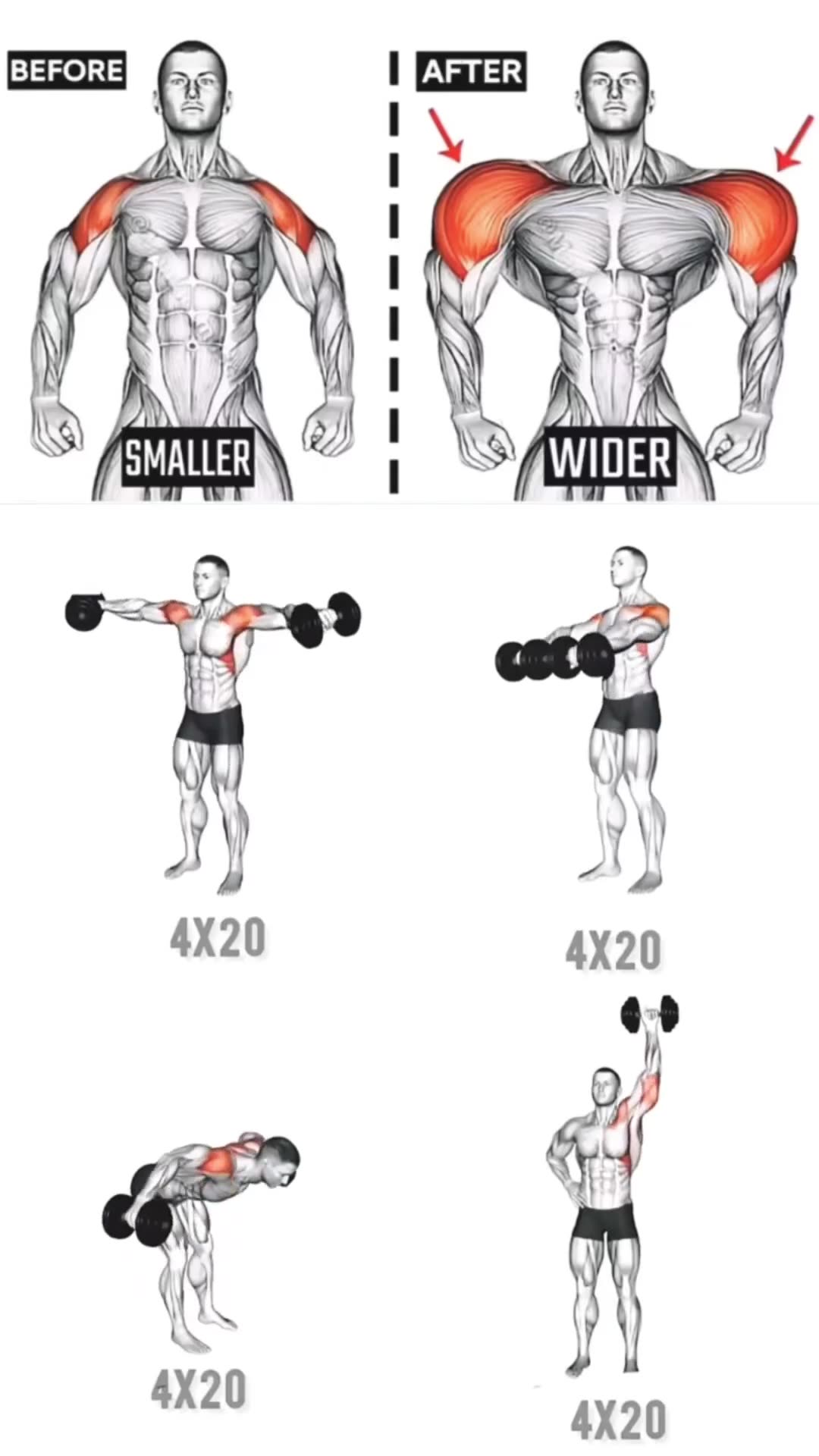 Ultimate Leg Day Best Full Leg Workouts For Strength Size