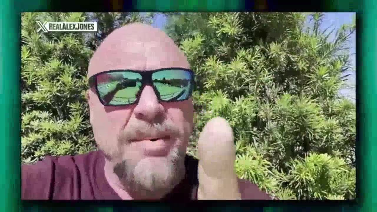 INFOWARS By INFOBEAR