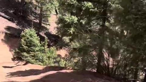 Riding Rainbow Falls CO and the boys are definately showing improvement