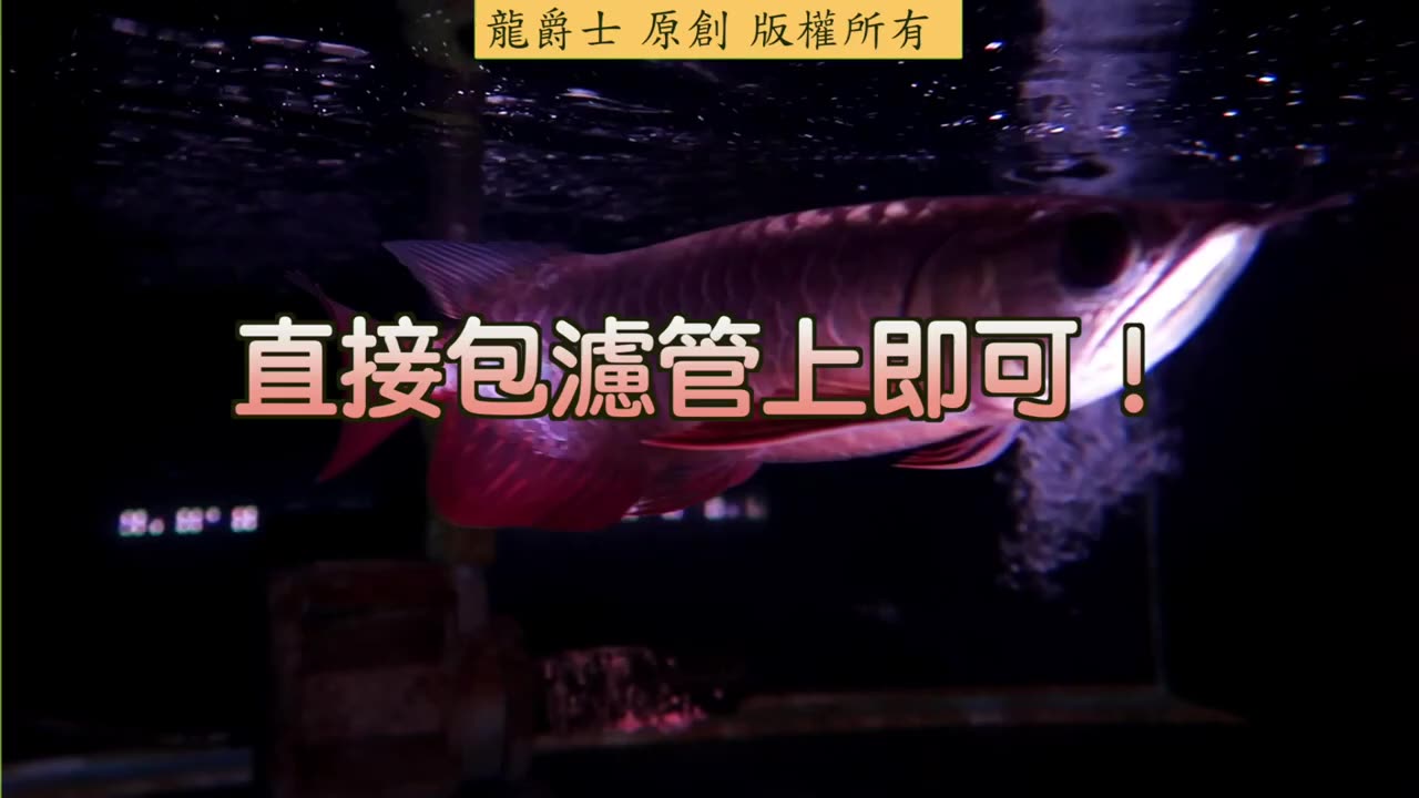 【龍爵士】千問千答 Q177-1大便棉要洗過之後才包嗎_Q177-2魚病剋星未開封過期半年還能使用嗎