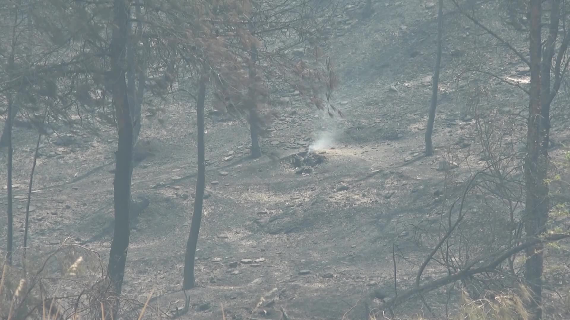 Wildfire in Turkey burns for fourth day after village evacuated