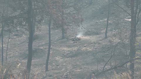 Wildfire in Turkey burns for fourth day after village evacuated