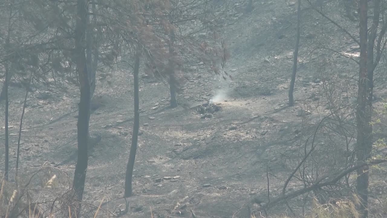 Wildfire in Turkey burns for fourth day after village evacuated