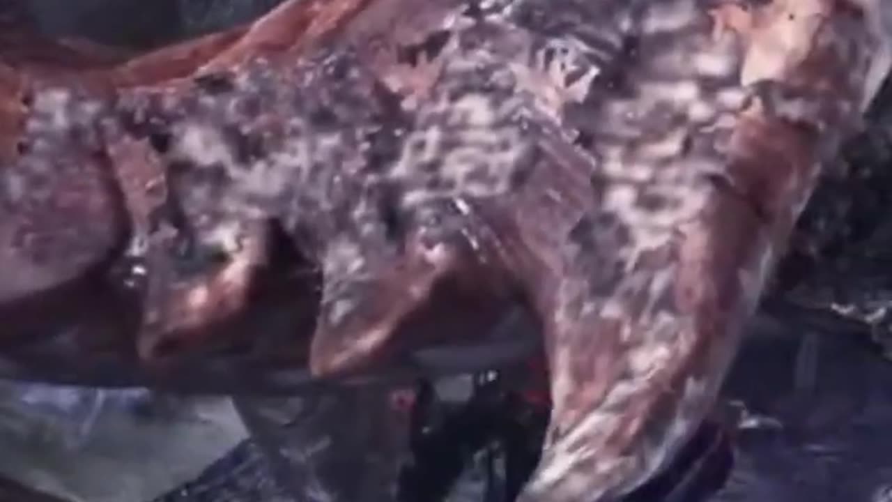 McDicken. Monster Hunter? You're coming home with us Bambi.