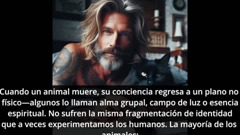 Los Centinelas: ¿Quién creo los animales y a dónde van cuando mueren?