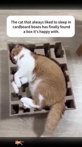 viewing BITCHute TOP ASSperts