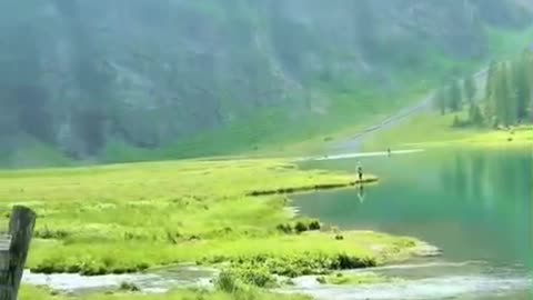 Best Quran Recitation for Morning Motivation | Start Your Day with the Quran