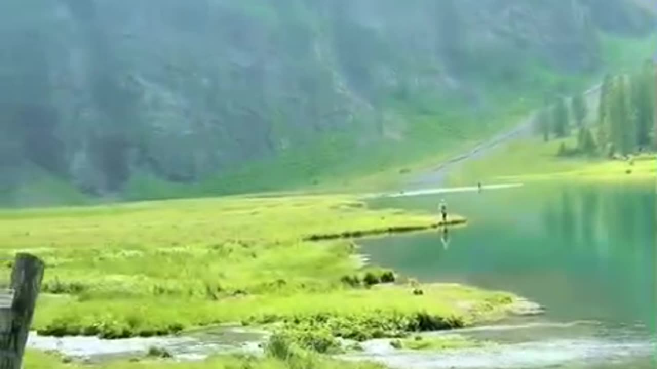 Best Quran Recitation for Morning Motivation | Start Your Day with the Quran