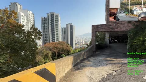 🔥my wife drives Lambo Busan Korea