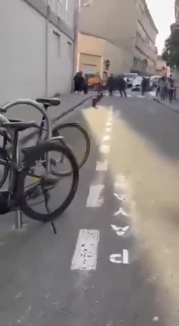 Kinfe attack in France at school in Nîmes, France