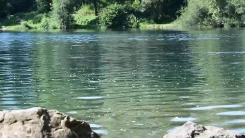 Lake, water, waters