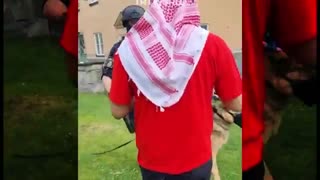Remigration und Zwangsumsiedlung - Die einzige Lösung!