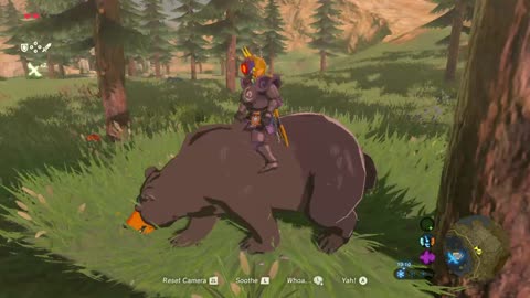 Botw: Made a friend