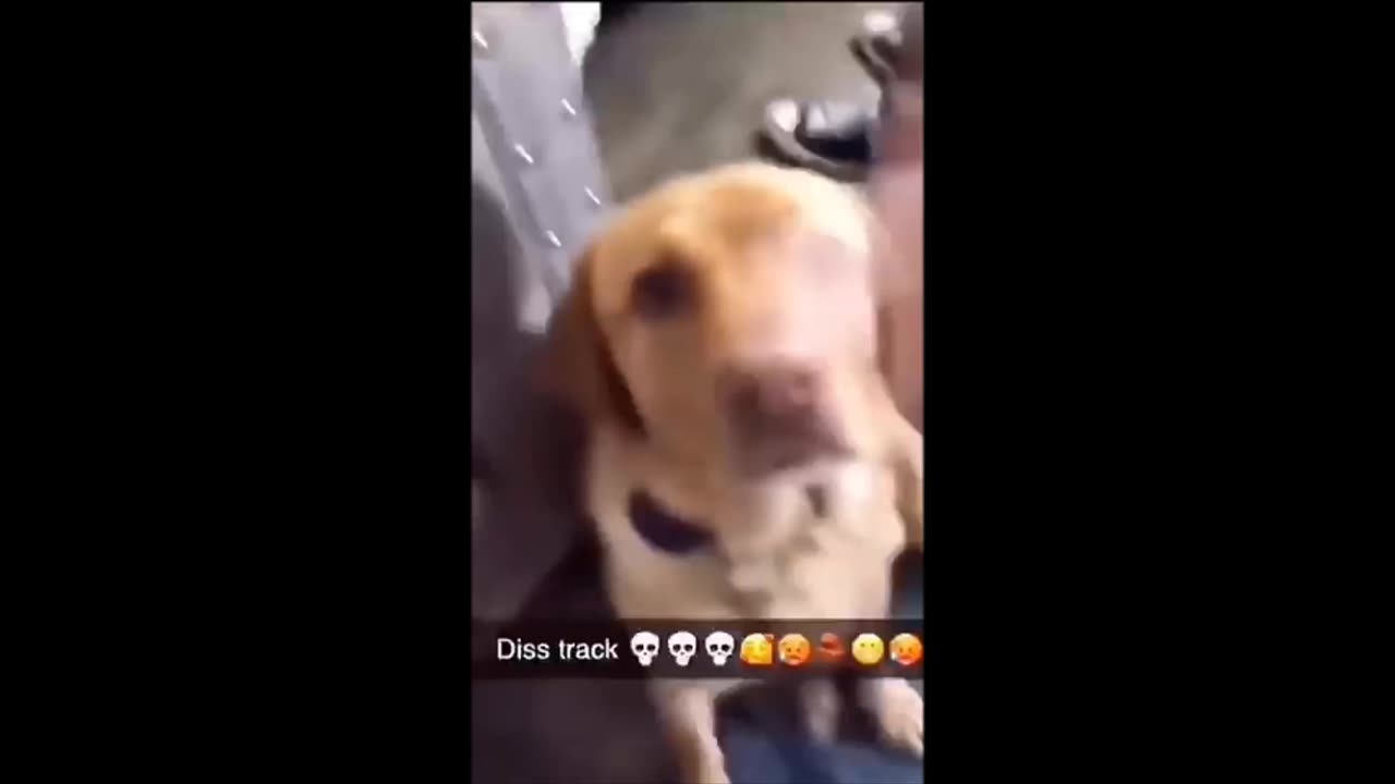 Funny moments compilation 🤣😂 #3