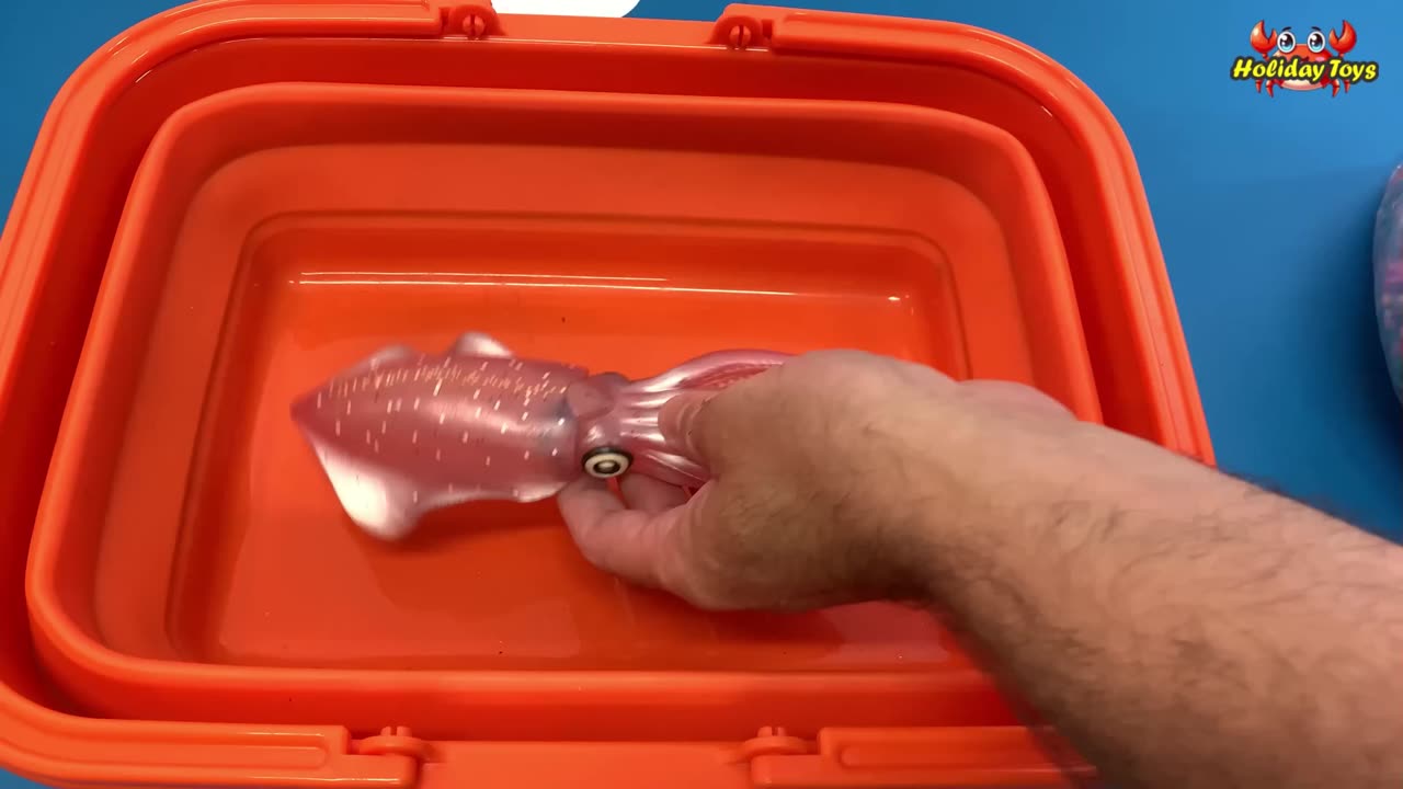 Orca Drowning in Blue Bubbles in Large Container