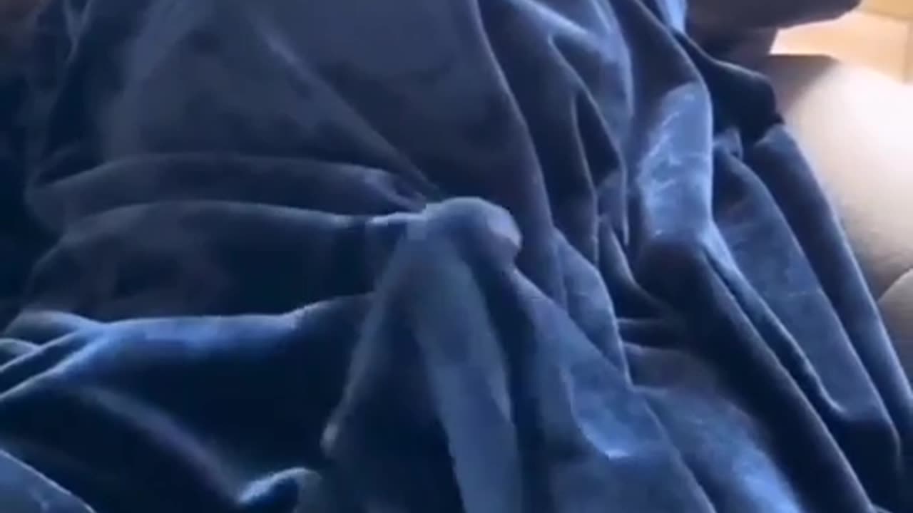 😂🤣 Man, He's Really Happy to See You! | FunFM