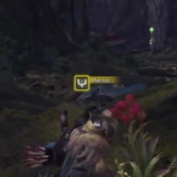 McDicken. Monster Hunter? Ep. (8)? I'm bird hunting. #monsterhunterworldiceborne