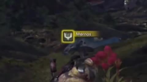 McDicken. Monster Hunter? Ep. (8)? I'm bird hunting. #monsterhunterworldiceborne