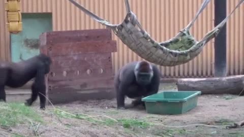 😂👩‍👧 Don't Mess With Mom – You Won't Believe What Happens! | FunFM